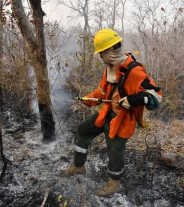 Bolivia reporta seis incendios activos, la mayoría en Santa Cruz