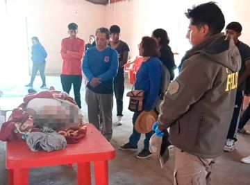 Villazón: Enjambre de  abejas mata a mujer en comunidad de Moraya