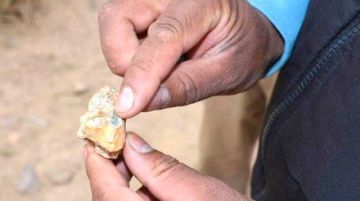 Prevén incremento de ingresos de las regalías del oro en Potosí