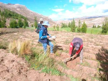 Tres municipios se declaran en emergencia por la falta de lluvias