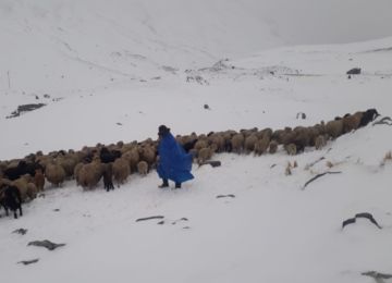Senamhi pronostica que nevará en el altiplano y valles, pero no en Potosí