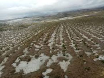 Las lluvias se hacen esperar en el Departamento de Potosí