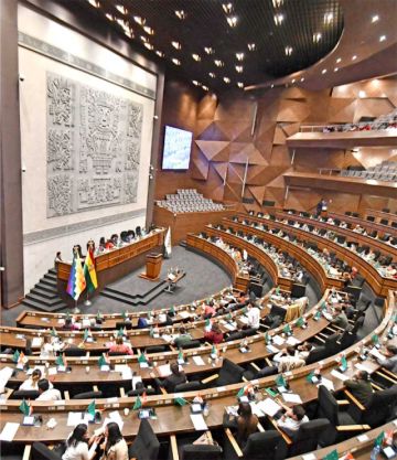 Ley de subnacionales divide a las bancadas en Diputados