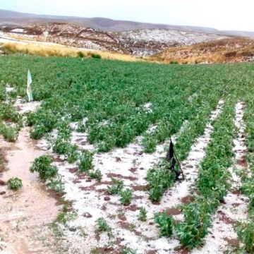 Reportan 10 municipios afectados por distintos fenómenos naturales