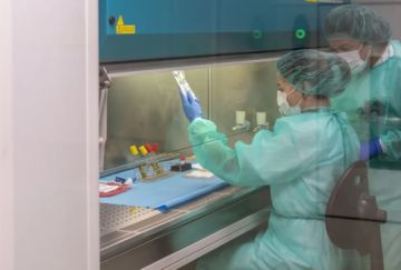 Identifican la célula que origina el Sarcoma de Ewing, un tumor pediátrico muy agresivo