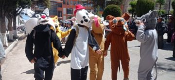 Este fin de semana brigadas inmunizarán contra la rabia a perros y gatos