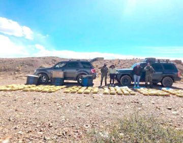 La Felcn incauta unos 150 paquetes de marihuana en la carretera Potosí–Tarija