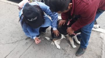 Vacunación en la primera jornada  FOTO: SEDES