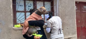 Coordinación de red espera reportes formales tras alerta de veterinarios