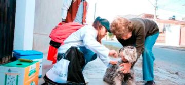 Más del 95 por ciento de perros fueron inmunizados por el Sedes