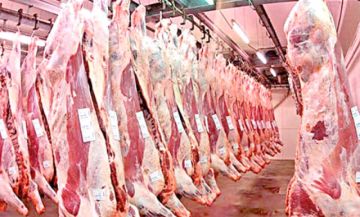 Agro destacada apertura  del mercado de Egipto 