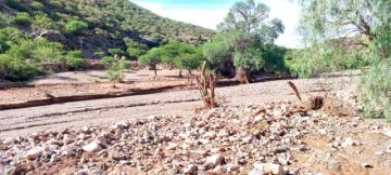 Riada mata más de 40 animales en Cotagaita y cuantifican daños