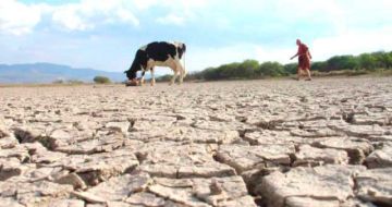 El uso de agroquímicos provoca desertificación del 42% de tierras