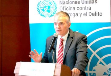 Bolivia anuncia  más erradicación de cultivos de coca