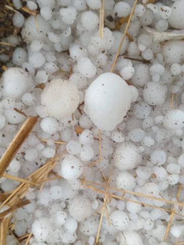 En los últimos días se presentaron granizadas en los municipios de Caiza D, San Pedro de Buena Vista, Ckochas y Acasio