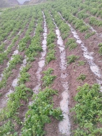 En los últimos días se presentaron granizadas en los municipios de Caiza D, San Pedro de Buena Vista, Ckochas y Acasio