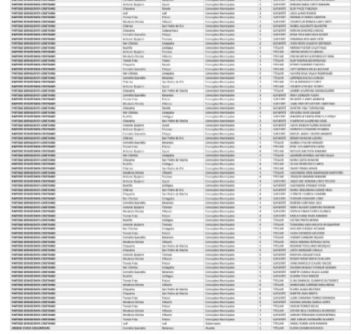 ¿Quiénes están en las listas de candidatos a la Gobernación, alcaldías, concejos y Asamblea en Potosí? revisa la lista