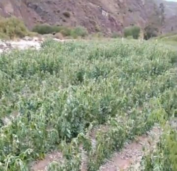 Potosí recibirá el Año Nuevo 2026 con lluvias