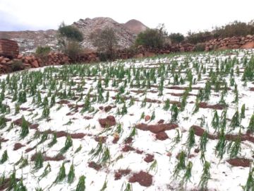 Potosí recibirá el Año Nuevo 2026 con lluvias intensas