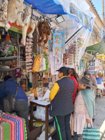 Venta de qoas en la ciudad