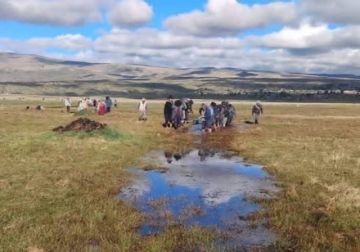 Rayo fulmina a cuatro animales en Tipampa, municipio de Achacachi de La Paz 