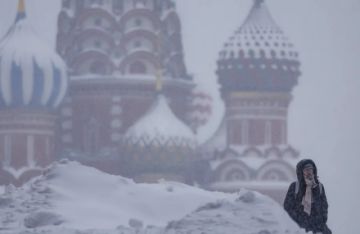 Colapsa el principal aeropuerto de Moscú debido a la mayor nevada en 50 años