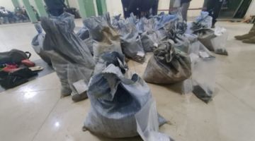 Potosí: Cooperativistas mineros alertan sobre evolución peligrosa de “jucus” 