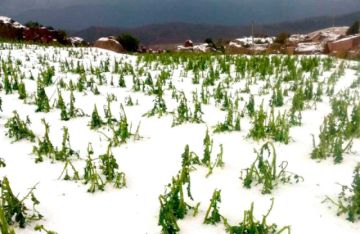Se reporta fuertes lluvias con tormentas eléctricas y granizo