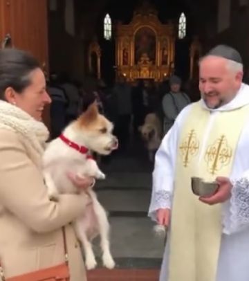 Perrito reacciona a bendición de cura en el día de San Anton