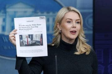 La Casa Blanca evita disculparse por los calificativos contra la segunda víctima en Minnesota