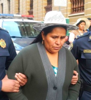 Villazón: frenan salida del  país de exministra de Evo  