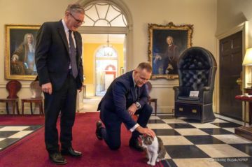 Larry el gato oficial de Reino Unido, provoca un divertido momento en la visita del presidente de Polonia