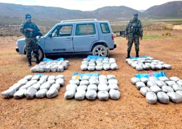 Felcn incauta  drogavaluada en $us 185 mil  en operativos