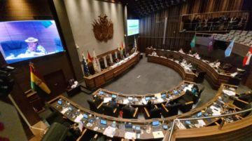 Senado aprueba proyecto de ley para dejar sin efecto la nueva escala de tarifas aéreas