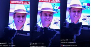 Un perro que le gruñe a Edmand Lara en TV se vuelve viral 