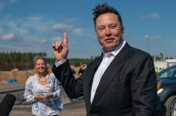 Elon Musk a Epstein en un correo: «¿Qué día/noche será la fiesta más salvaje en tu isla?»
