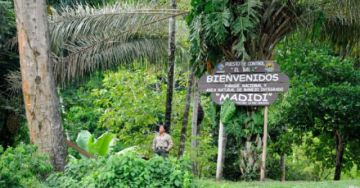 Denuncian ingreso ilegal de maquinaria aL Parque Madidi