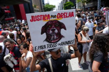 En Brasil se manifiestan y piden justicia por el caso del perrito "Orelha"