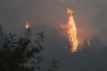 Incendio en Chile avanzó 10 veces más rápido que la capacidad de extinción, según expertos