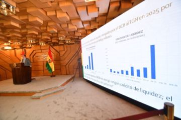 BCB confirma crédito al Tesoro, pero aclara que no son recursos nuevos porque dejó de ser una “caja chica”