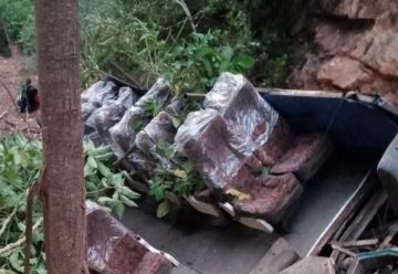 Embarrancamiento de bus en La Paz deja, al menos, 14 muertos