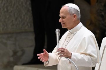 El papa no viajará a Estados Unidos, su país natal, en 2026