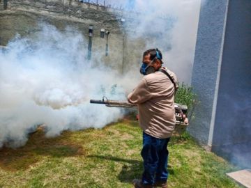 Sedes declara alerta roja en Santa Cruz por brote de chikungunya