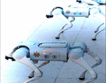 “Perros robot” en el fútbol