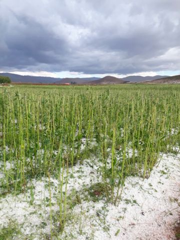Se incrementa los daños por desastres naturales en Potosí