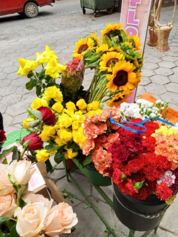 FLORES