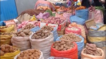 Reportan que precios de las verduras rebajaron por carnavales en Potosí
