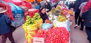 Reportan descenso de precios en el sector verduras de la Villa Imperial