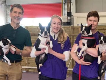 Transtorno Respiratorio: Estos son los perritos con mas riesgo