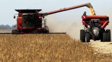 Sector agropecuario garantiza la producción de alimentos